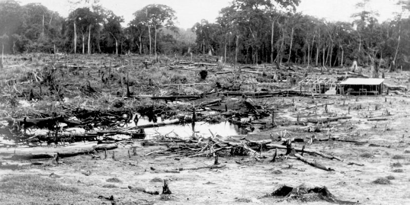 Gregg Mitman’s new book highlights land use, racial injustice, and America’s shared history with Liberia