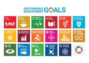 New GHI report examines hemp and UN Sustainable Development Goals
