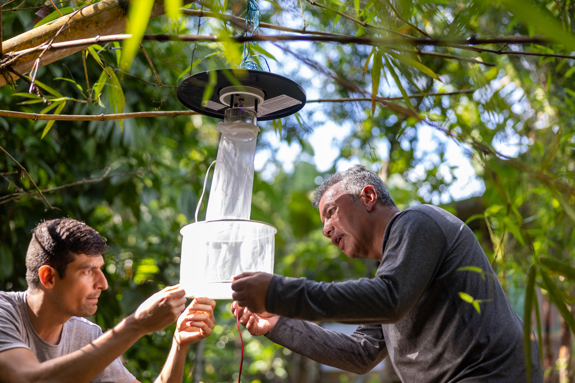 From Treating to Preventing: Meet UW’s Global Virus Network Scholar, Karl Ciuoderis