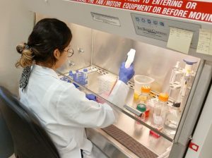 Connecting Biology & Informatics: Meet GHI Graduate Student Maria Stella Lopez Carvajal